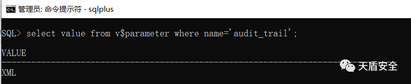 Oracle audit_trail 参数查询结果界面对照