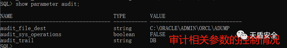 Oracle 审计参数查询结果界面对照