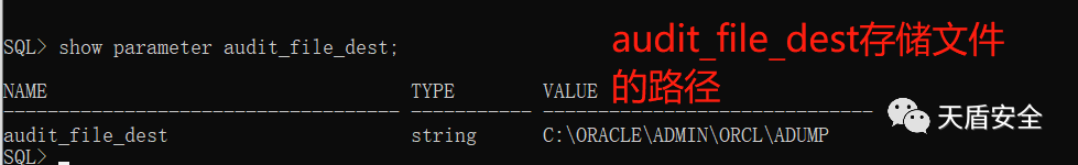 Oracle audit_file_dest 查询结果界面对照