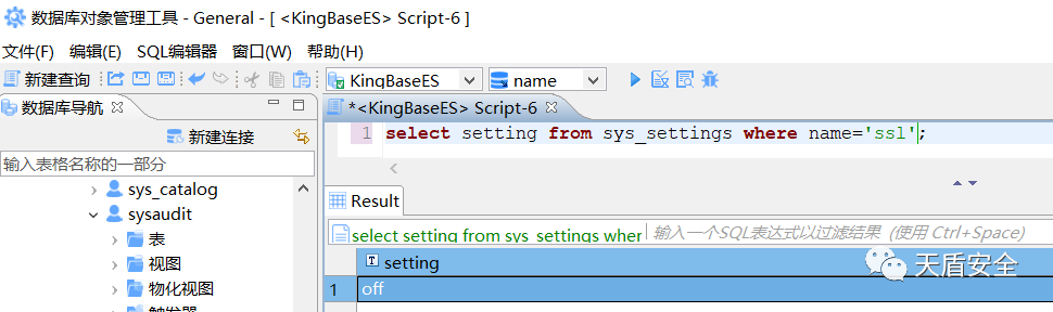 KingbaseES SSL 配置查询结果界面对照