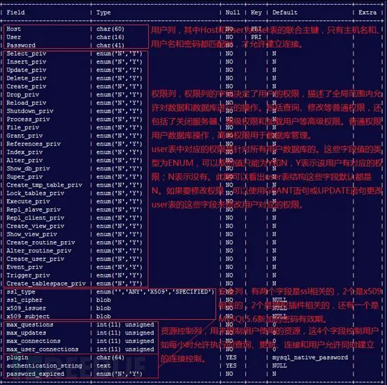 MySQL user 表权限列