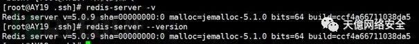Redis 现场取证截图 1
