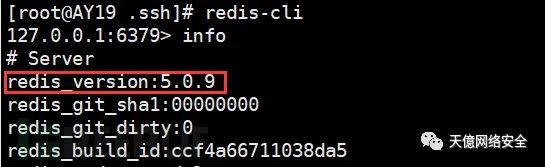 Redis 现场取证截图 2